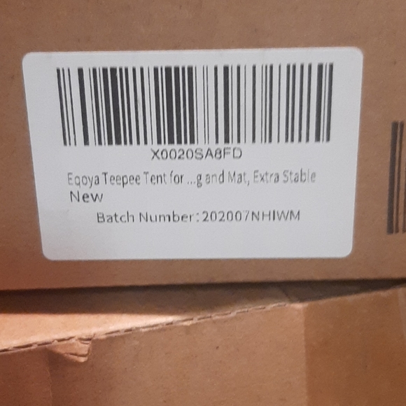 Excitement - Picture 4 of 4